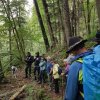 	14 3 Tage auf dem Schluchtensteig im Südschwarzwald